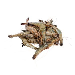 tiger Shrimp, hoso raw