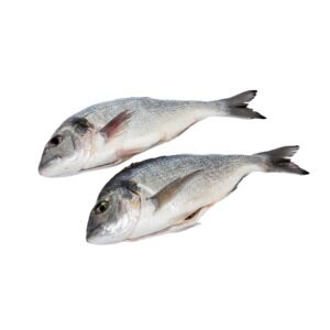 Sea bream