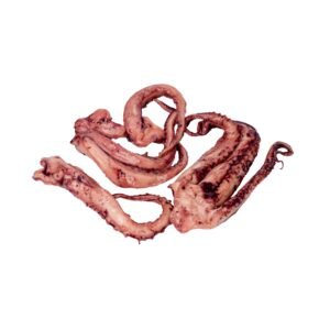 Squid , Tentacles, cooked
