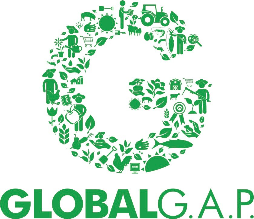 Global gap logo
