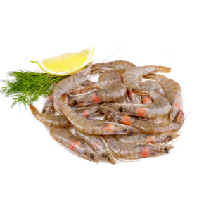 Whiteleg Shrimp - SKU: P00014
