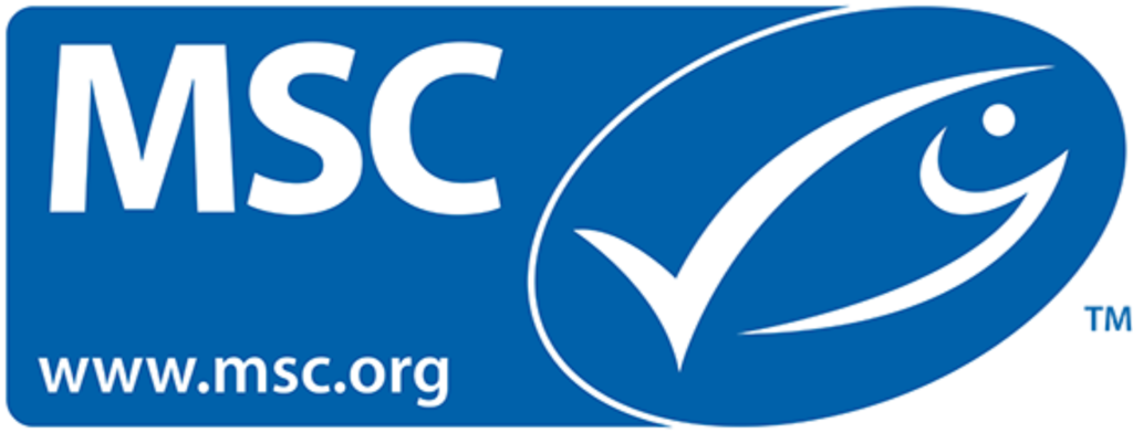 msc logo